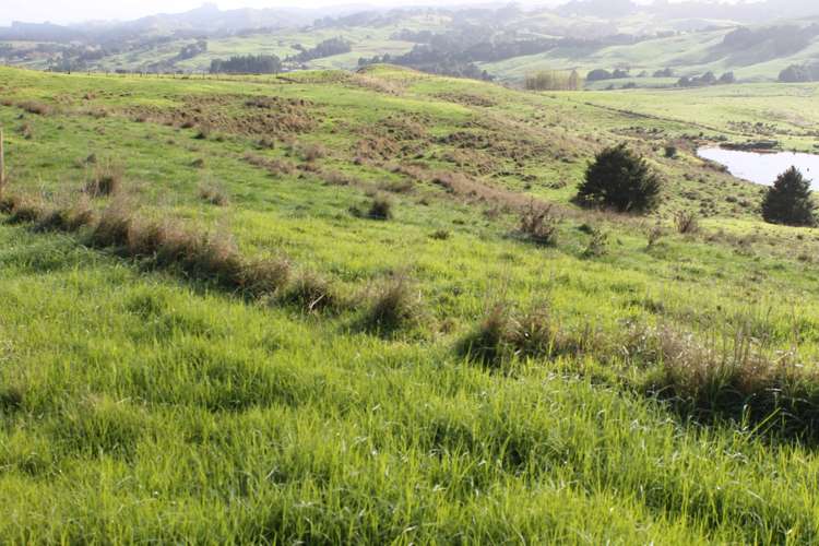 1311 State Highway 12 Maungaturoto_4