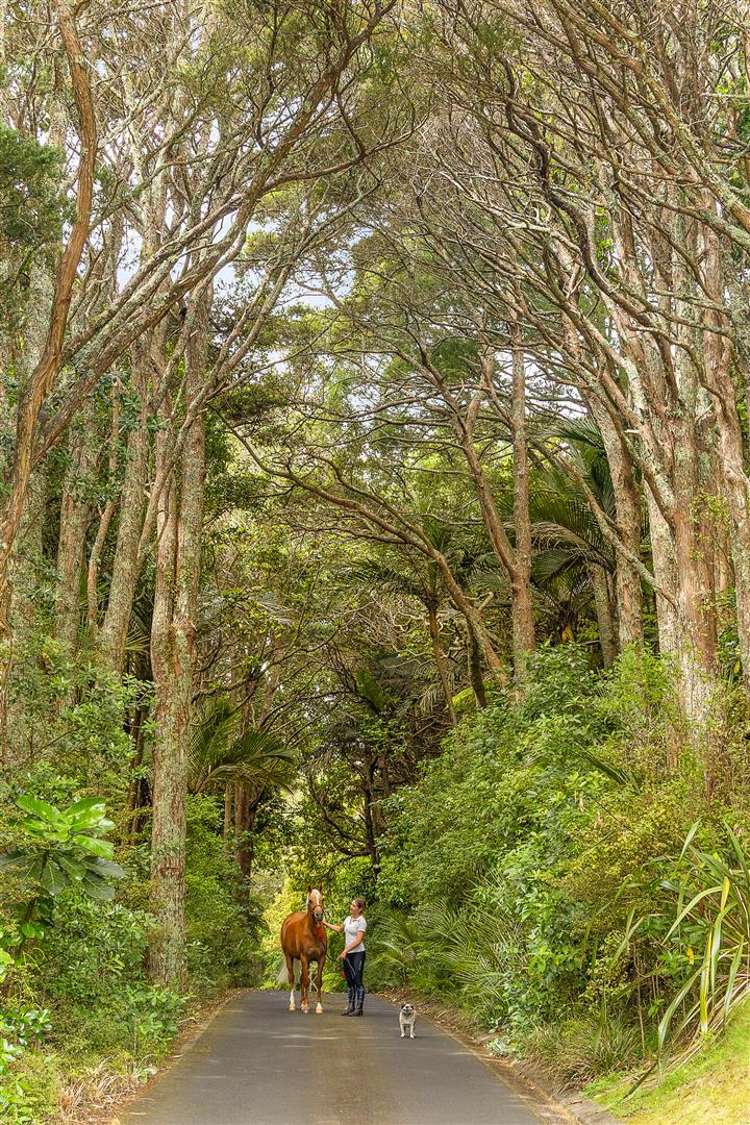 101 Taylor Road Waimauku_41