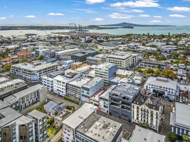 19 Falcon Street Parnell_2