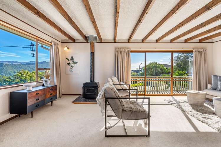 224 Larnach Road Waverley_6