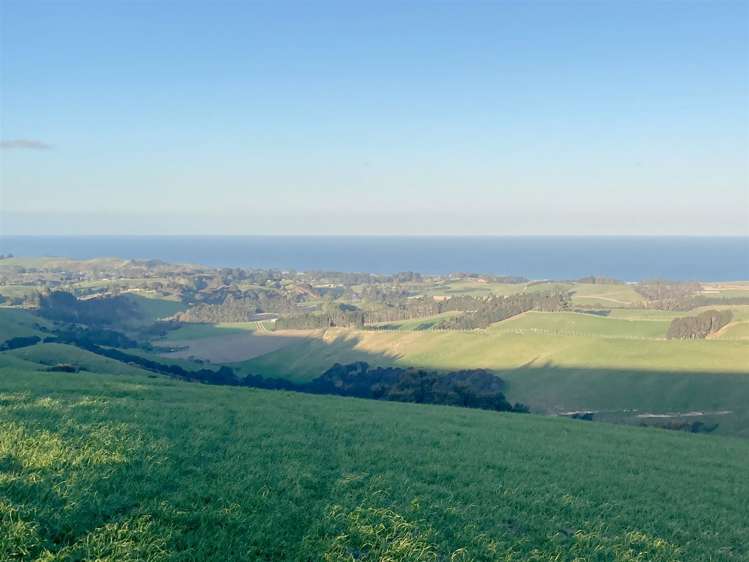 Duncan Road Hampden_12