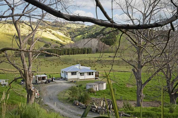877 Pakiri Road Pakiri_13
