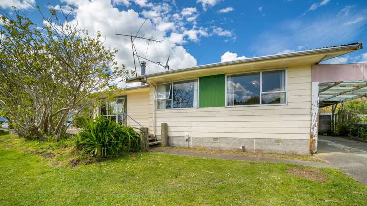 31 Newton Street Outer Kaiti_1