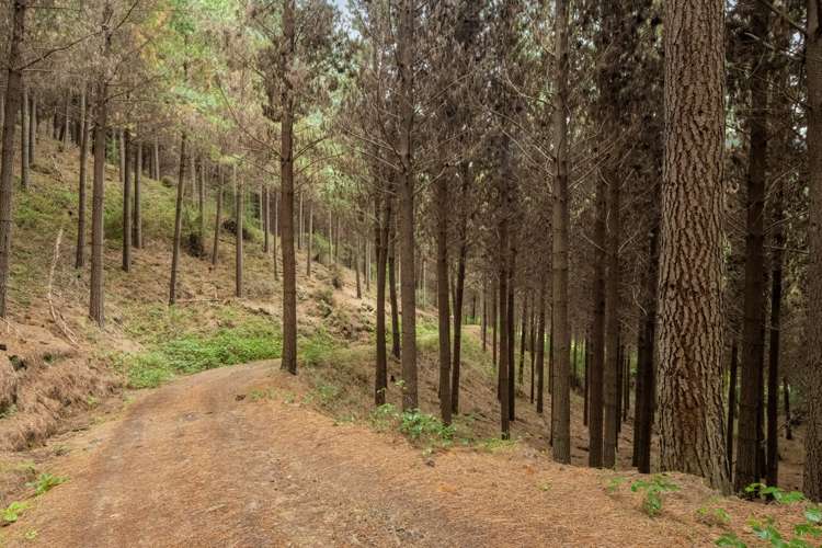 State Highway 63 Renwick_11