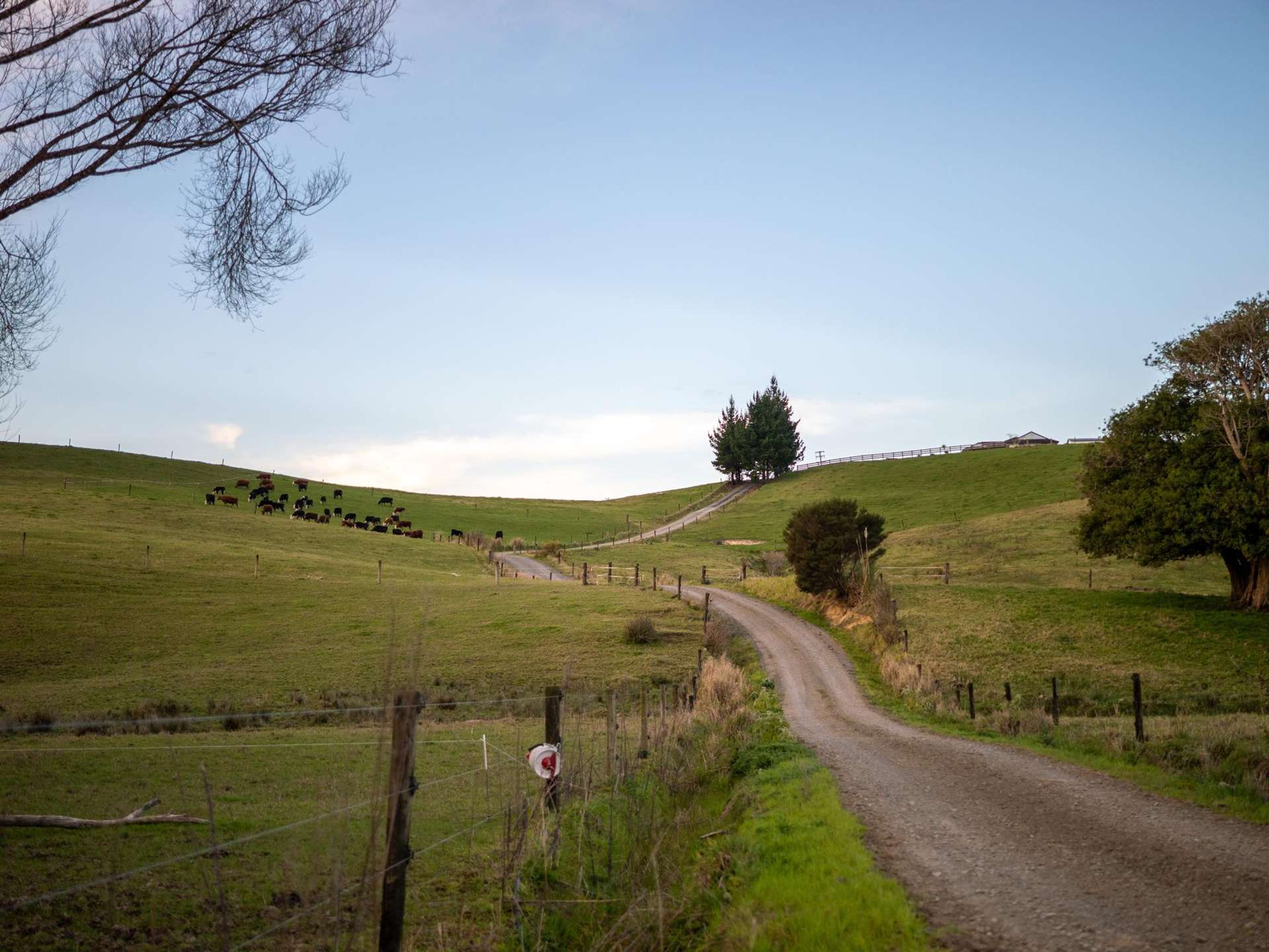 6986B State Highway 1 Kaitaia_0