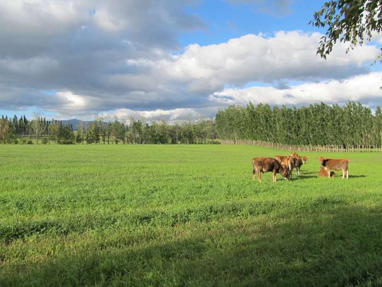 Blackman Road Alexandra_0