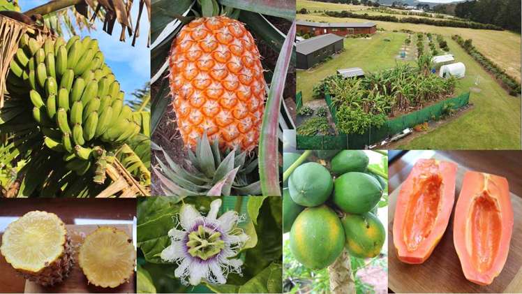 4037c Far North Road Pukenui_20