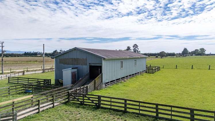 220 Tiffin Road Carterton_3