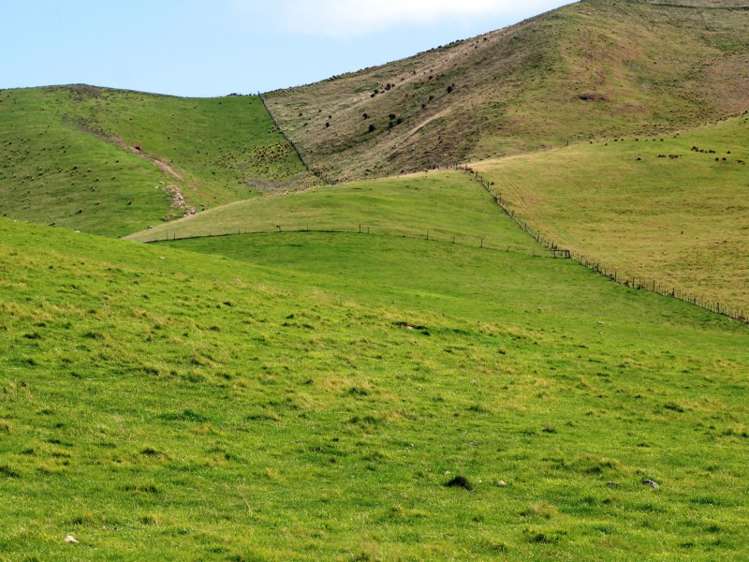 528 Ram Paddock Road Broomfield_16