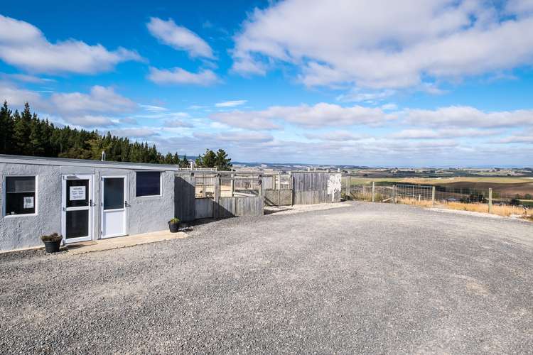 251 Fletcher Road Milton_2