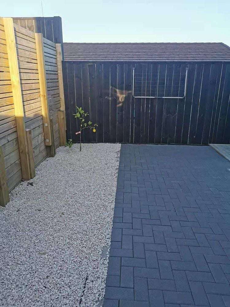 2/49 Arawa Street New Lynn_3