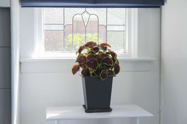 14 Cranley Street Musselburgh_21