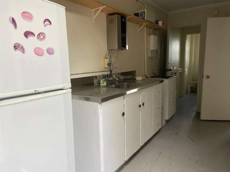 234f Kahikatea Drive Frankton_2