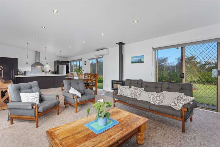 4 Pukeko Lane Rotoma_3