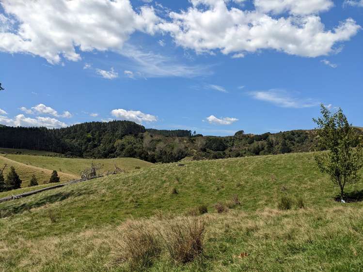 334b Komokoriki Hill Road Makarau_6