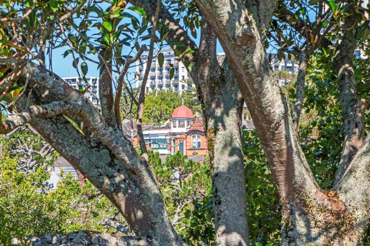 1 Smith Street Freemans Bay_17