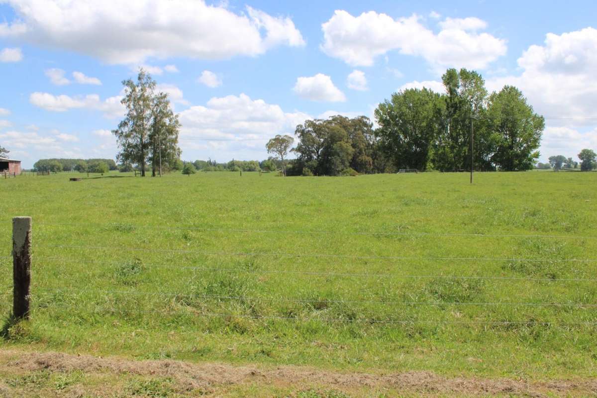 Lot 1 - 28 Brown Road_3