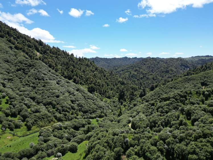 Trussells Track, Tawata Road Taumarunui_10