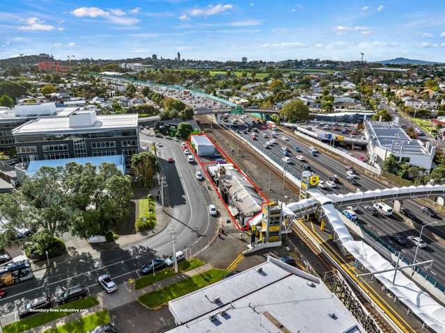19 & 21 Kalmia Street Ellerslie_1