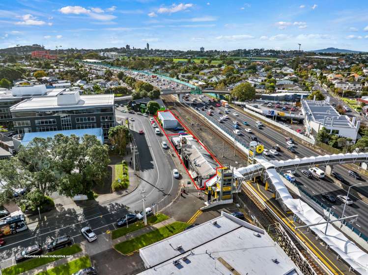 19 & 21 Kalmia Street Ellerslie_1