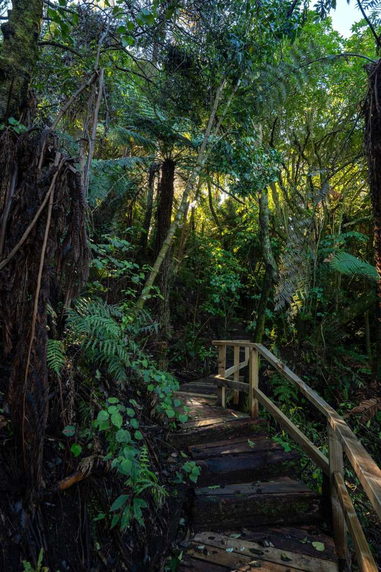 18 & 20 Te Toroa Drive Lake Tarawera_15