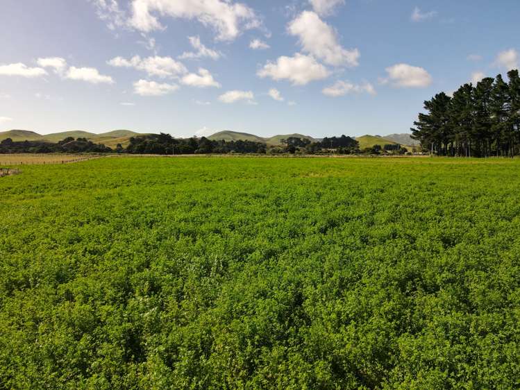 685 Waitahora Road Dannevirke_20