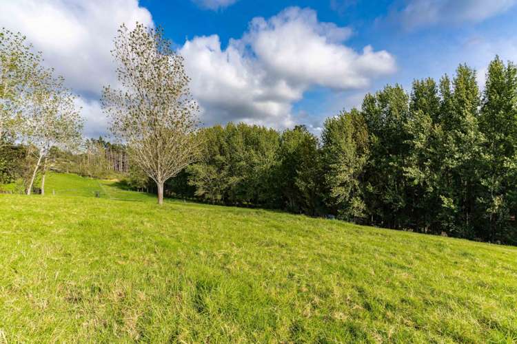 146 King Road Mangawhai_5