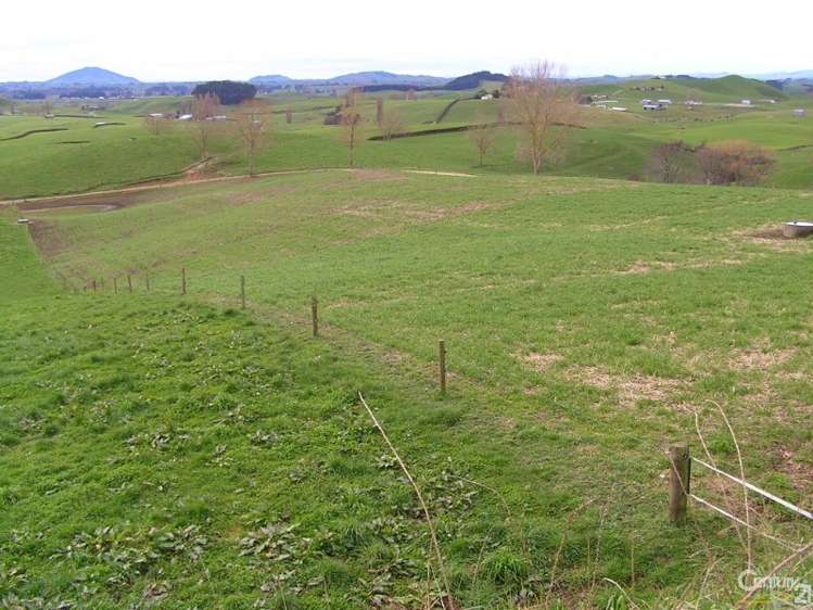 159 Bonner Road Otorohanga_8