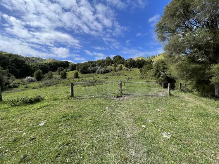 851 Awamate Road Frasertown_21