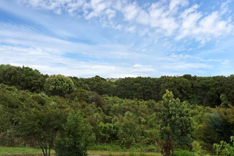 23 Bonnette Road Flat Bush_7