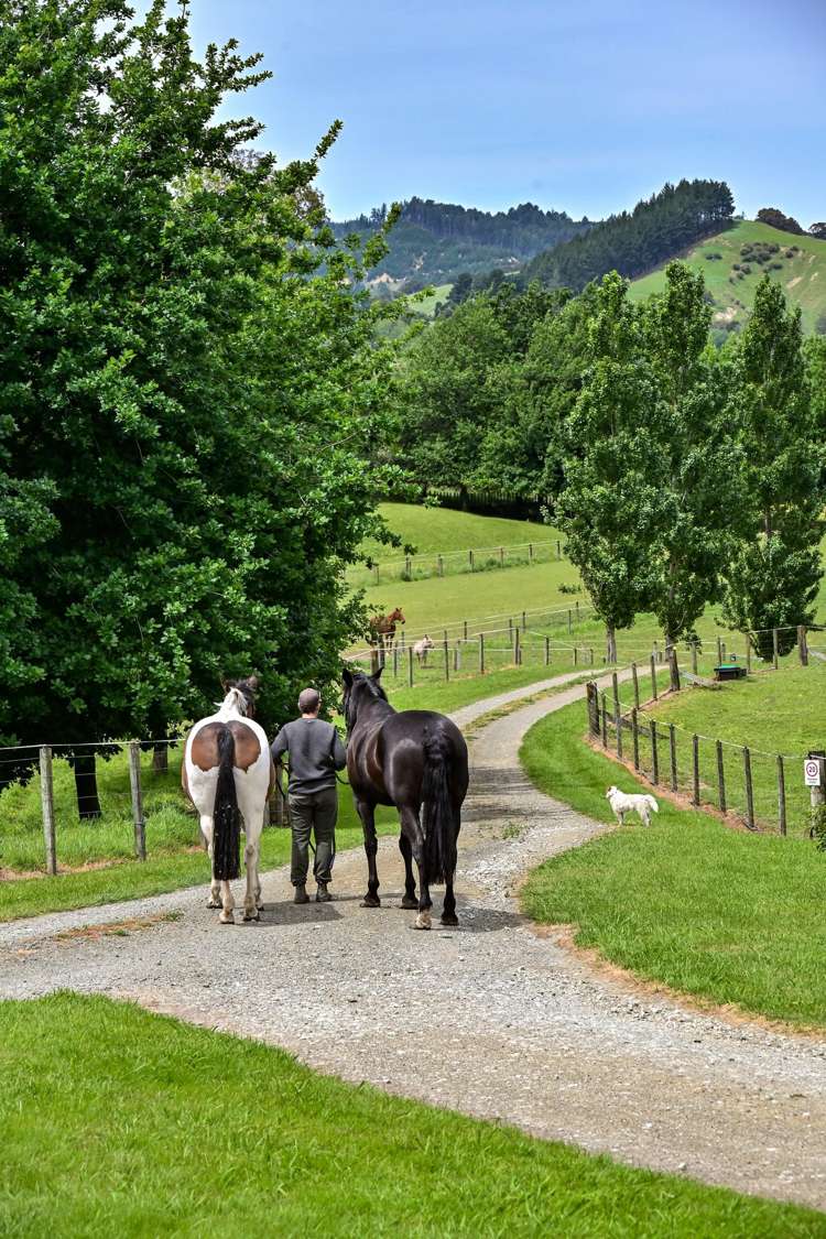 65b Ngakoroa Road Ormond_19