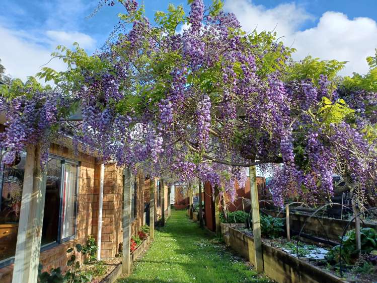 43a Youngs Grove Pukekohe_14