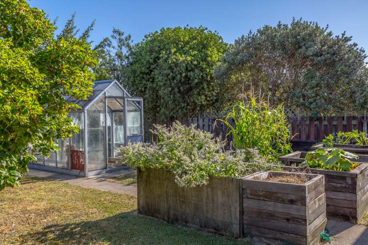 14 York Street Solway_18