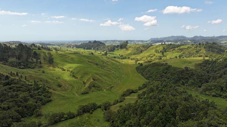 636 Otara Road Opotiki_6