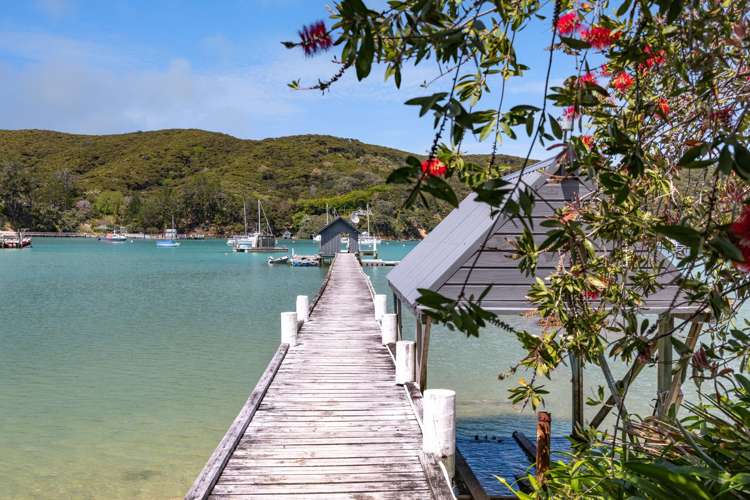 - Lot 101 DP 4961, North Cove Kawau Island_9