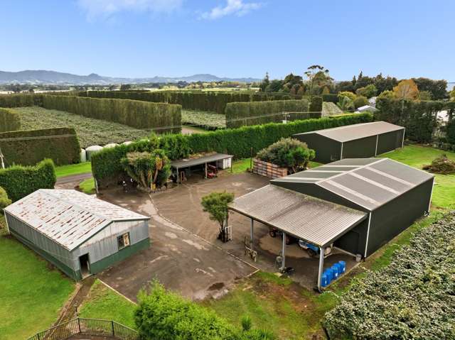 236 Walker Road East Aongatete_3