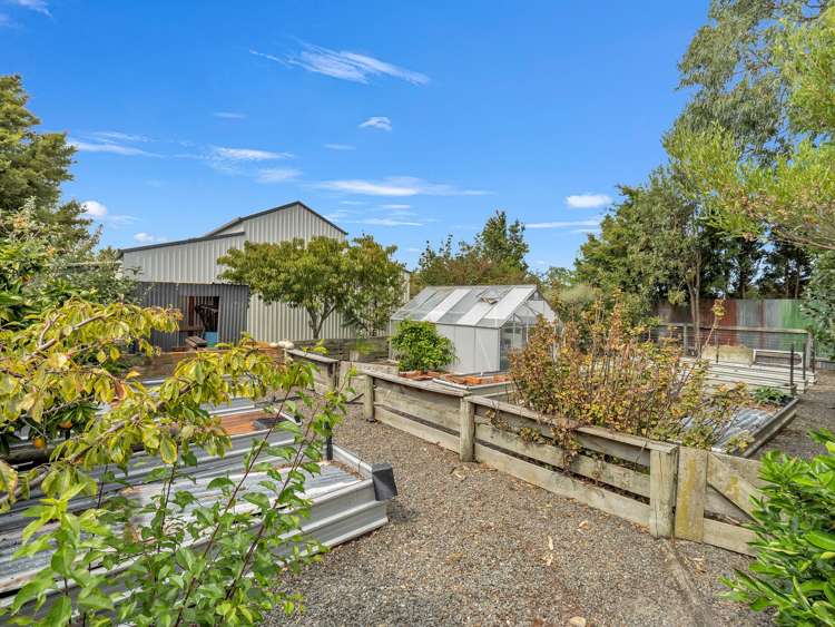 27 Moore Avenue Tawhero_33
