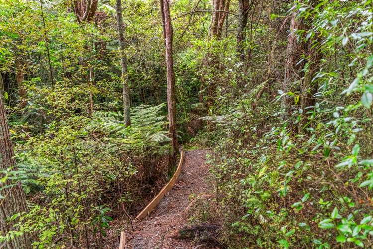 40 Olive Grove Mangawhai_32