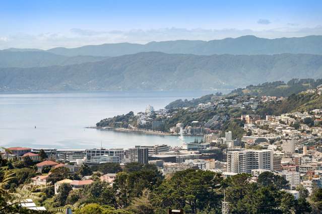 84A Mt Pleasant Road Aro Valley_2