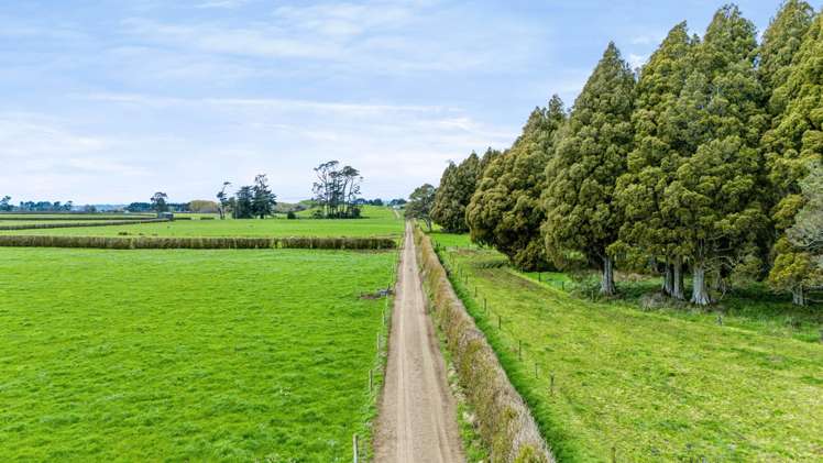 401 Bird Road Stratford_6
