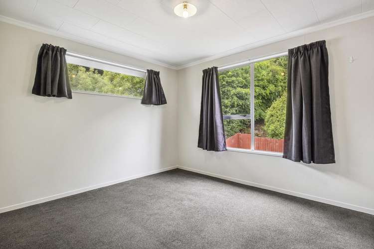 17a Buccleugh Street North East Valley_9