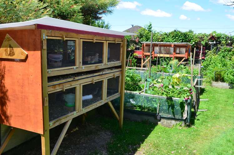 14 Charles Street Takapau_17