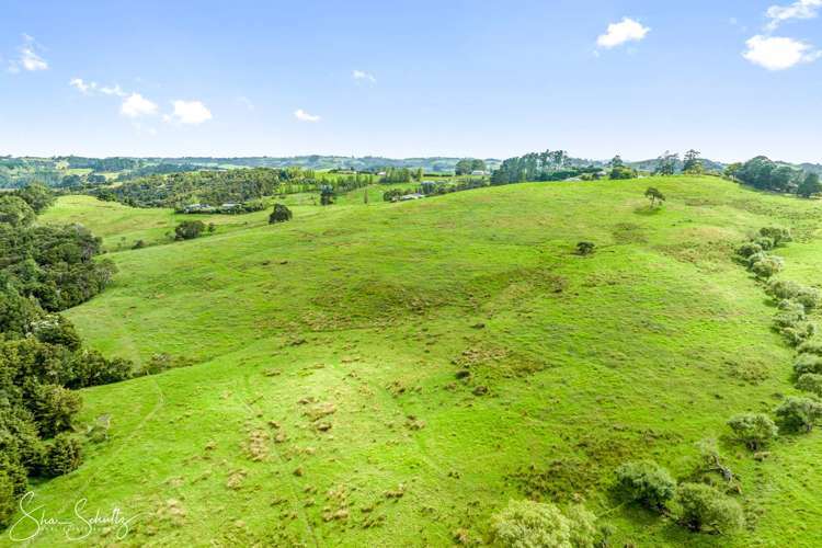 Pahi Road Paparoa_14