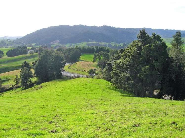 248 Swamp Road Mareretu_13