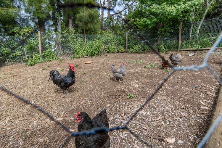 281 Pungaere Road Kerikeri Surrounds_26