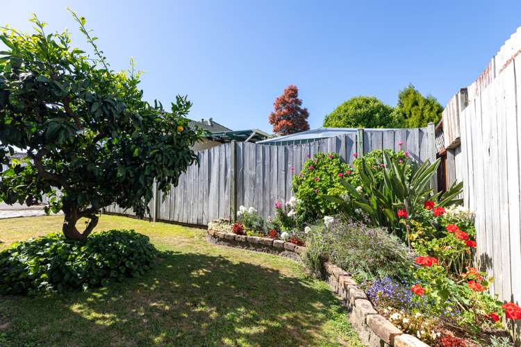 3b Princess Street Te Puke_19