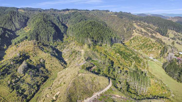 1 State Highway 2 Taneatua_13