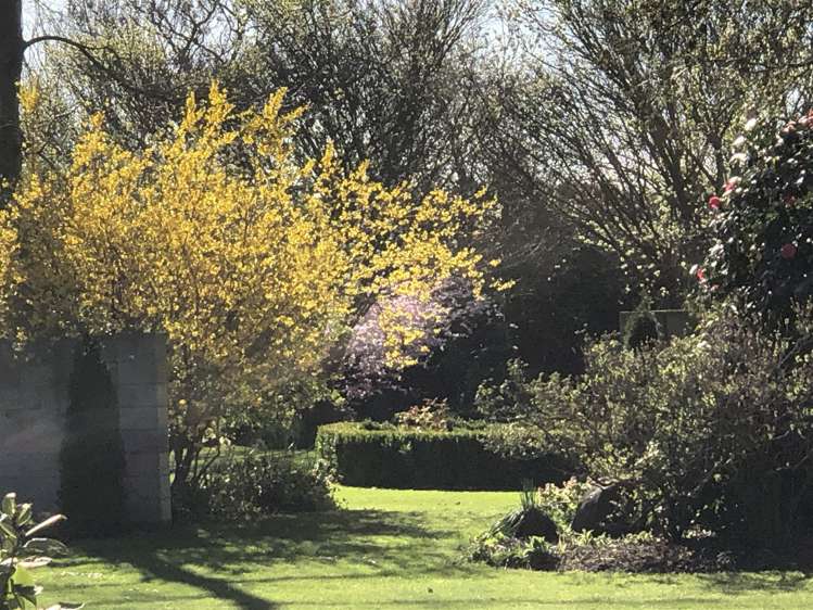 51 Ivey Road Templeton_17