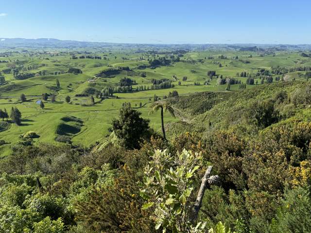 276B Waitomo Valley Road Otorohanga_4