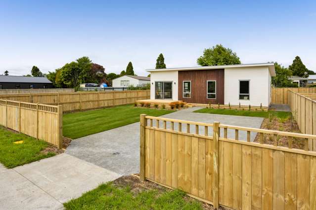 Brand New & Affordable